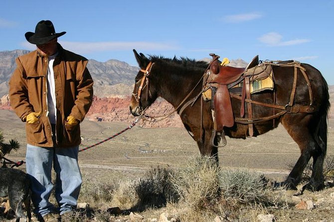 2-Hour Horseback Riding through Red Rock Canyon - Who will enjoy this ride most?