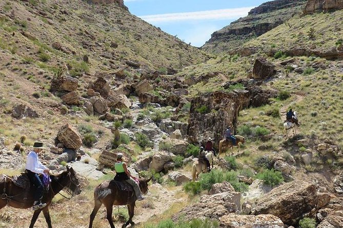 2-Hour Horseback Riding through Red Rock Canyon - Meeting your horse and learning the basics