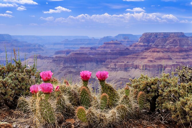 3-Day Grand Canyon, Antelope, Bryce & Zion Tour from Vegas - Who should book this tour?