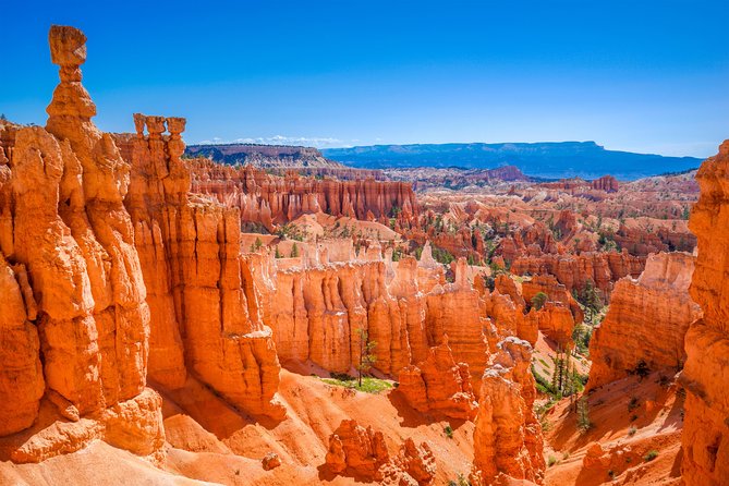 7-Day: Zion, Bryce, Monument Valley, Arches and Grand Canyon Tour - Grand Canyon South Rim: a sunset, a hike or a rim-side pause