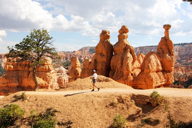 Bryce Canyon & Zion National Park from Las Vegas with Lunch, WiFi - Lunch, water, and the real value of $169