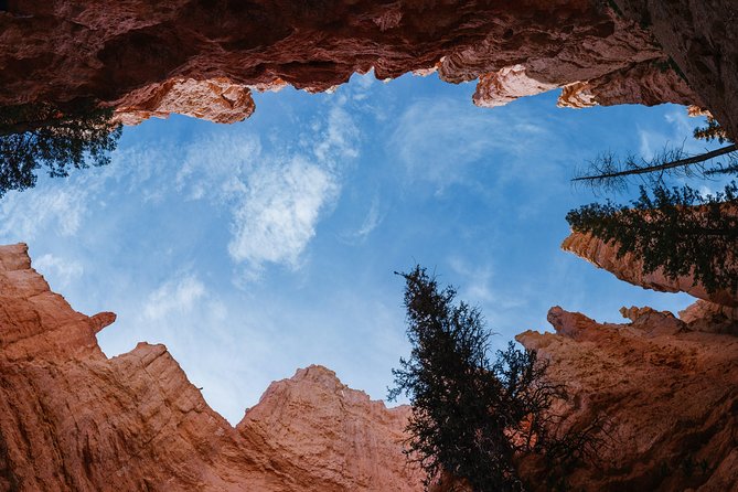 Bryce Canyon & Zion National Park from Las Vegas with Lunch, WiFi - FAQ
