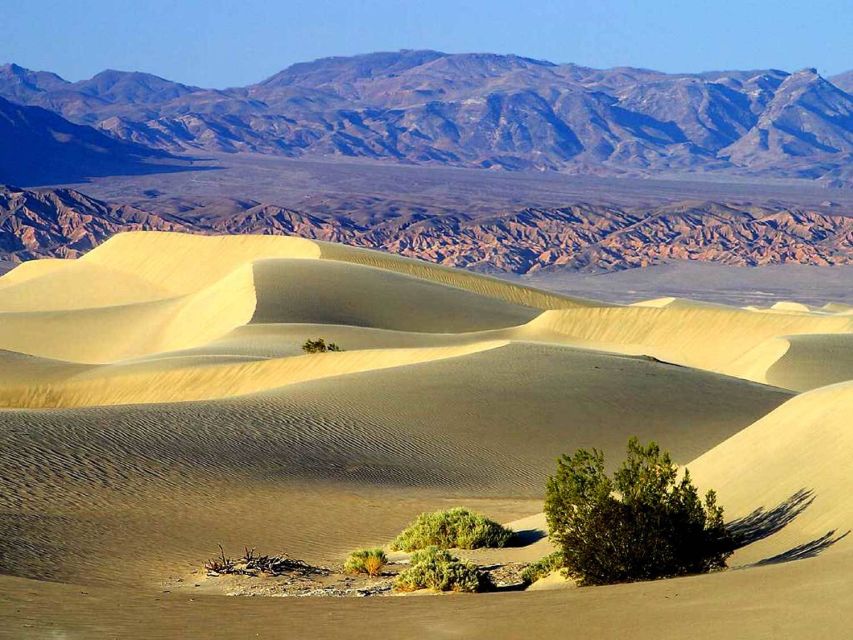 Death Valley Day-Tour from Las Vegas - At a glance: the details that matter