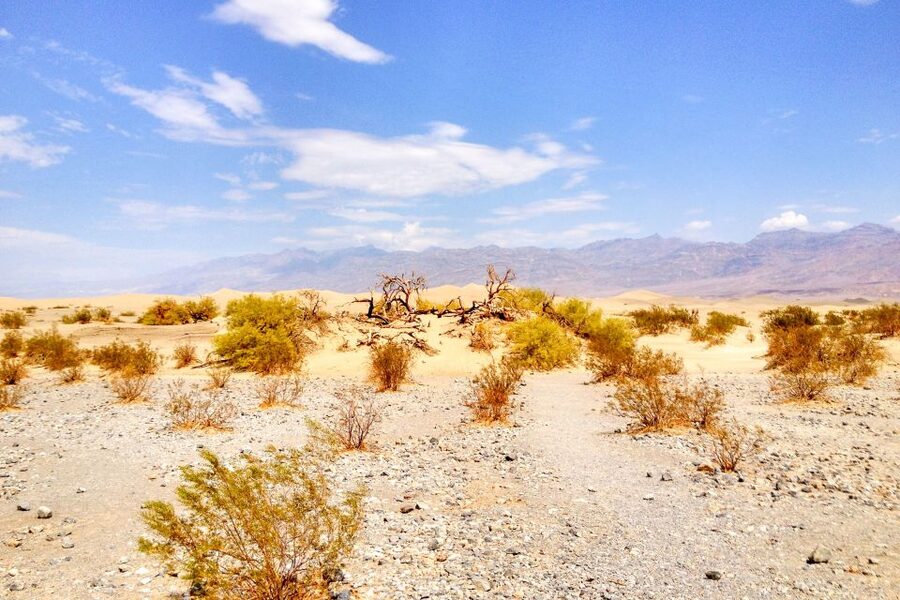 From Las Vegas: Ghost Town Wild West Adventures Day Trip - Route 66 to Oatman