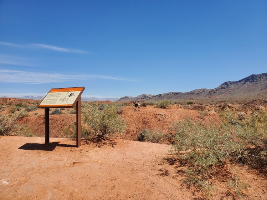 From Las Vegas: Valley of Fire Small Group Tour - The guide can make the stops feel connected