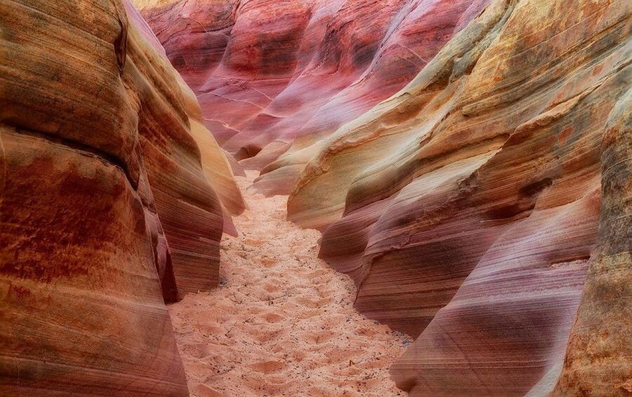 From Las Vegas: Valley of Fire State Park Tour - Comfort, timing and who should go