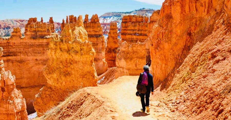 From Las Vegas: Zion and Bryce Canyon Day Trip with Pickup - Your Guide Shapes the Day