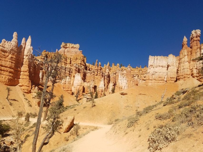 From Las Vegas: Zion and Bryce Canyon Guided Day Tour - Key points