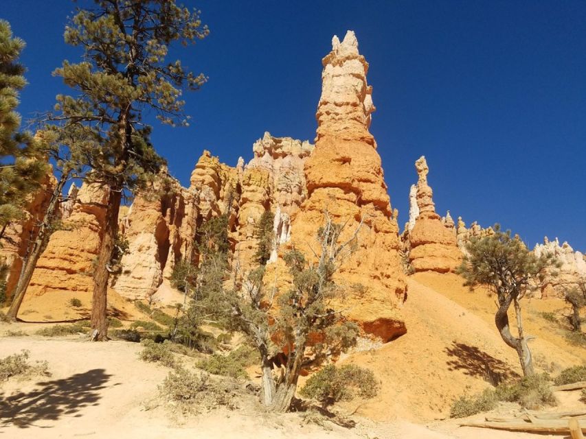 From Las Vegas: Zion and Bryce Canyon Guided Day Tour - Should you book it?
