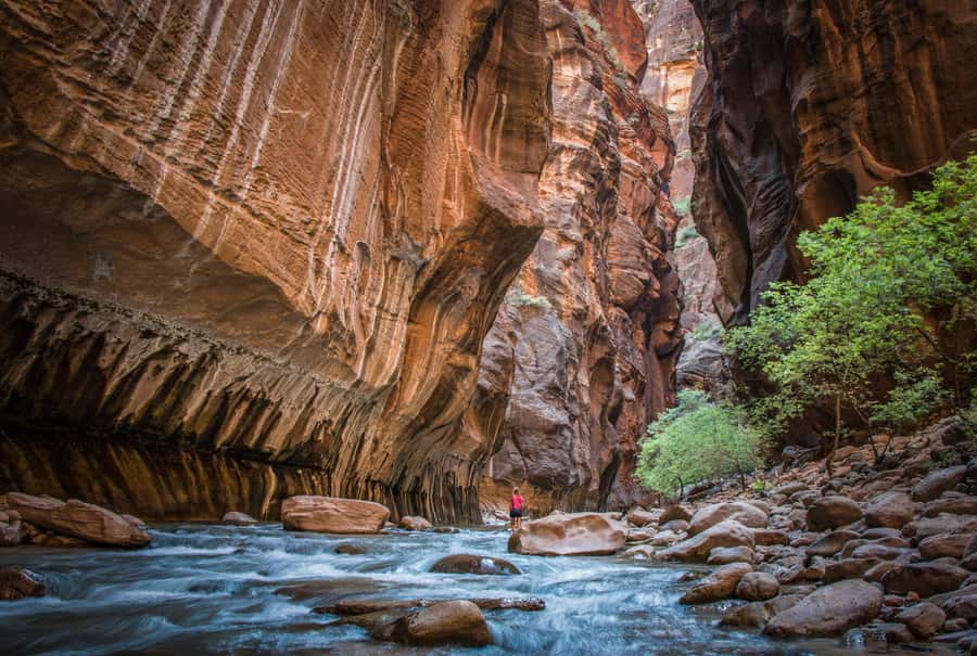 From Las Vegas: Zion National Park Day Trip - Leaving Las Vegas for Zion