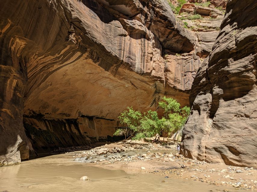 From Las Vegas: Zion National Park Small Group Adventure - Six hours to shape your own Zion day