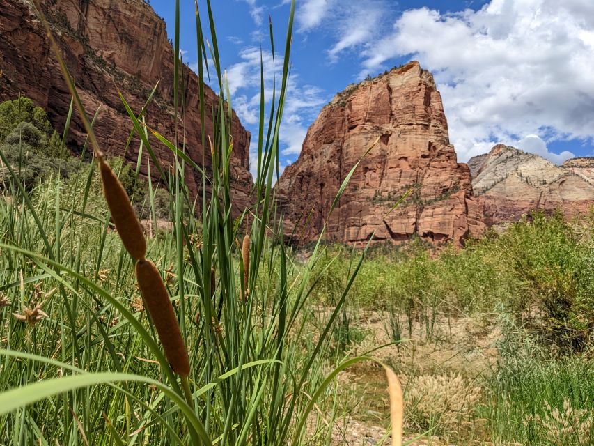 From Las Vegas: Zion National Park Small Group Adventure - What $149 buys, and what it does not
