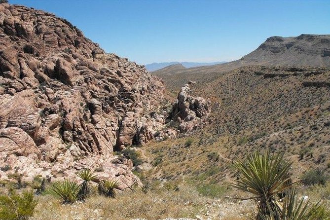 Guided Mountain Bike Tour of Mustang Trail in Red Rock Canyon - What the Mustang Trail feels like