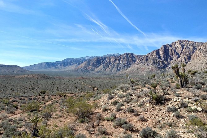 Guided Mountain Bike Tour of Mustang Trail in Red Rock Canyon - FAQ