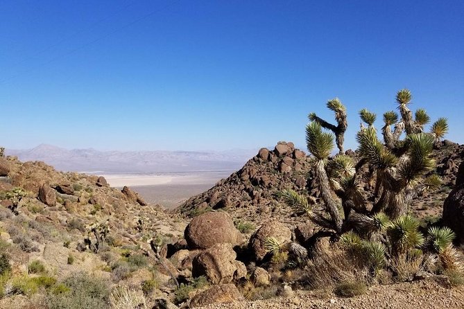 Half-Day Electric Bike Tour of Red Rock Canyon - Guided ride or self-guided outing?