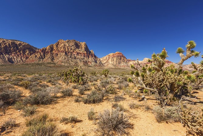 Half-Day Electric Bike Tour of Red Rock Canyon - What the e-bike changes, and what it does not