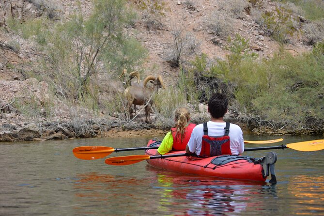 Hoover Dam & Hot Springs Kayak Tour with Lunch & Expert Guide - Arizona Hot Springs and a sauna cave
