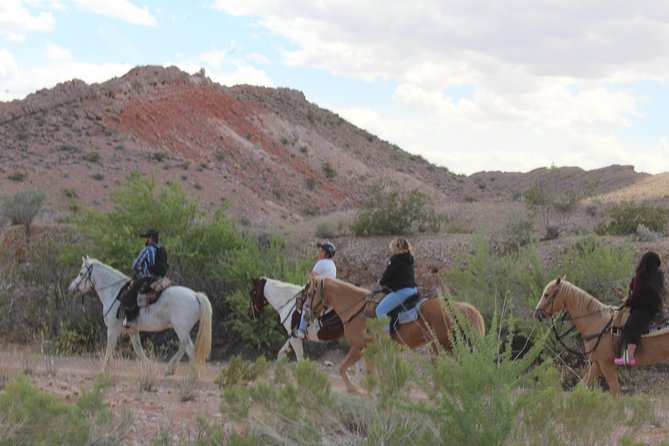 Horseback Ride in Las Vegas - What to wear, bring, and expect to pay