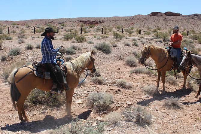 Horseback Ride in Las Vegas - Should you book this Las Vegas horseback ride?