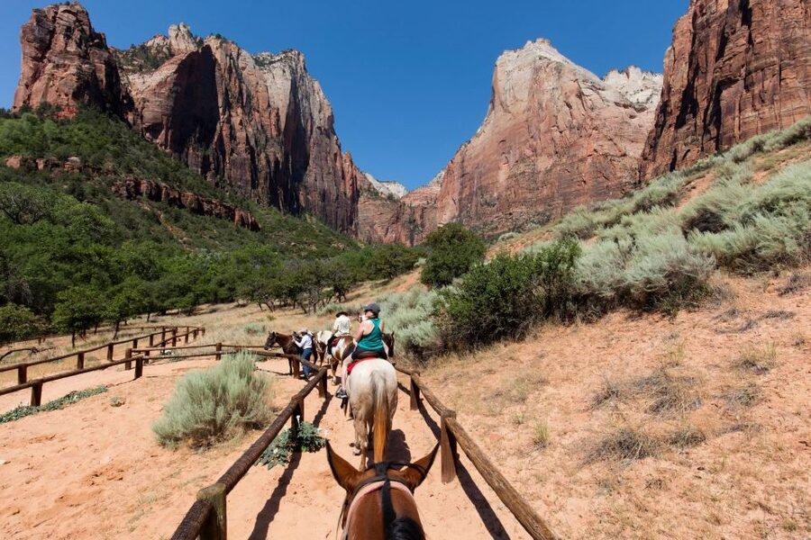 LA: Vegas, Grand Canyon, Antelope and Bryce, Zion 4-Day Tour - What the price includes, and what it leaves to you