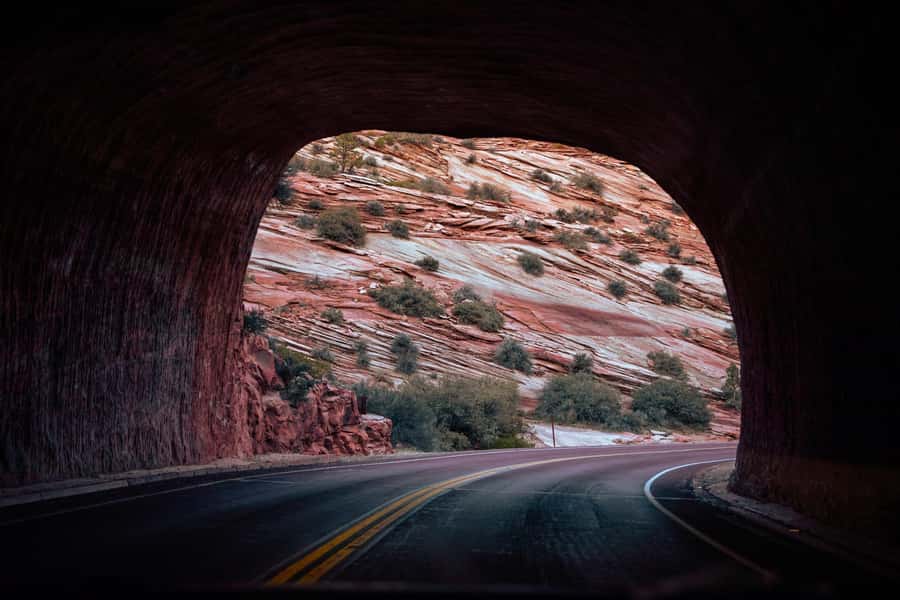 Las Vegas: Bryce and Zion National Parks Tour with Lunch - Key points before you book