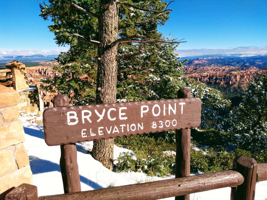 Las Vegas: Bryce and Zion National Parks Tour with Lunch - Bryce Canyon from the rim to the hoodoos
