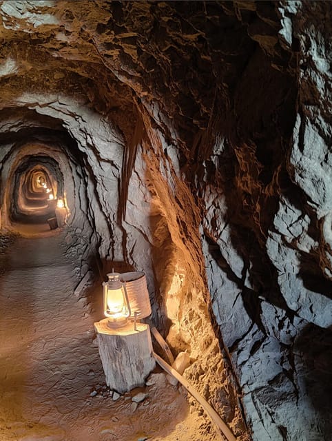Las Vegas: El Dorado Canyon, Ghost Town and Gold Mine Tour - Who will enjoy this trip most