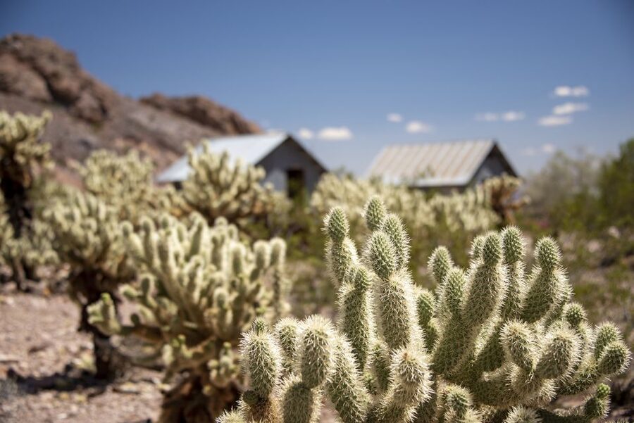Las Vegas: Eldorado Canyon Gold Mine Tour - What makes this Eldorado Canyon trip worthwhile