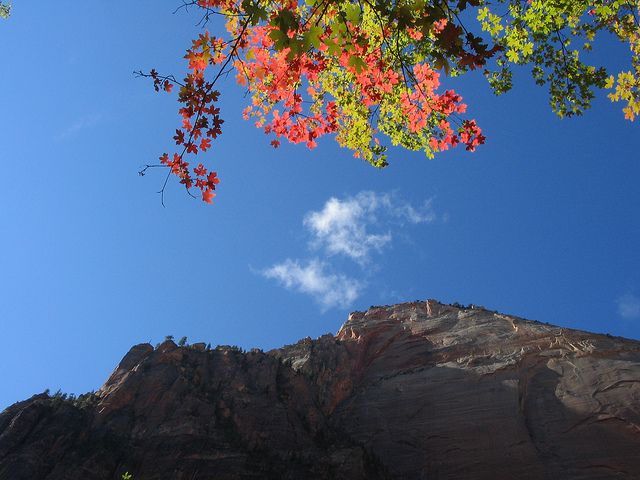 Las Vegas: Grand Canyon, Antelope, Bryce and Zion 3-Day Tour - FAQ