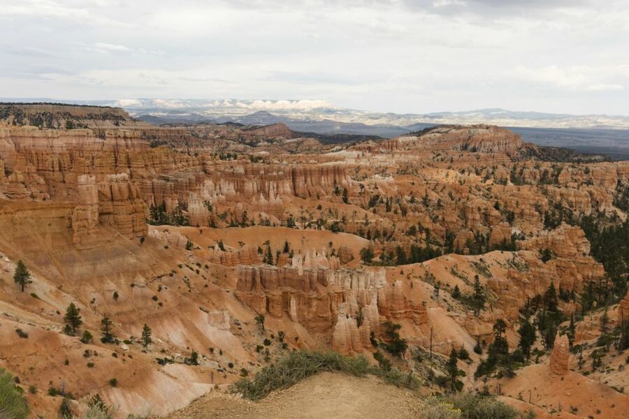 Las Vegas: Grand Canyon, Antelope, Bryce and Zion 3-Day Tour - Four parks in three days, with the driving handled