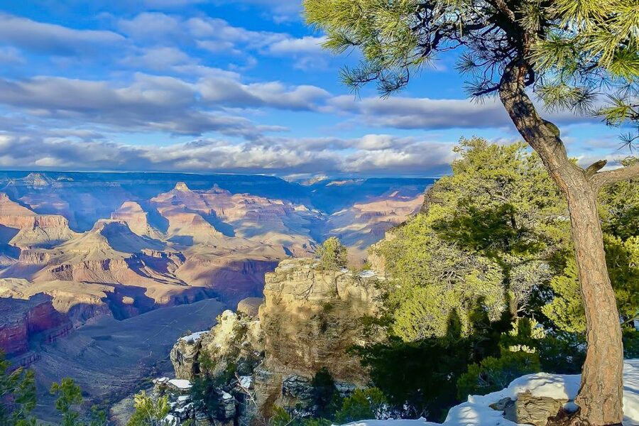 Las Vegas: Grand Canyon National Park South Rim Guided Tour - FAQ