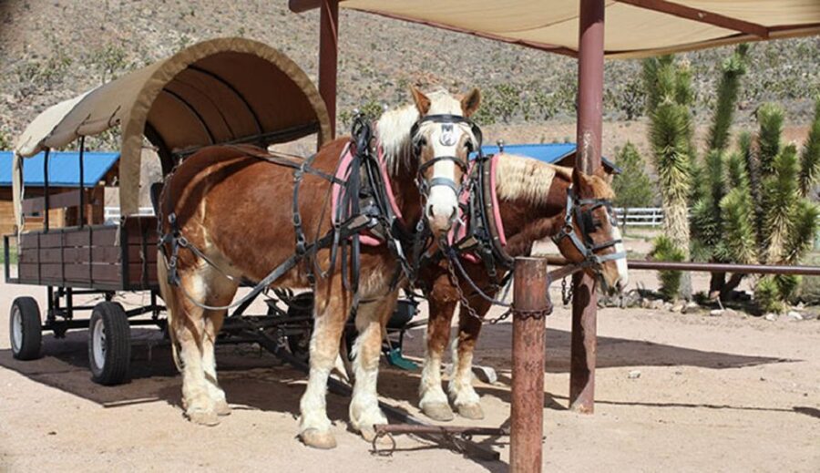 Las Vegas: Grand Canyon Ranch Tour with Horseback/Wagon Ride - From the Strip to Hoover Dam