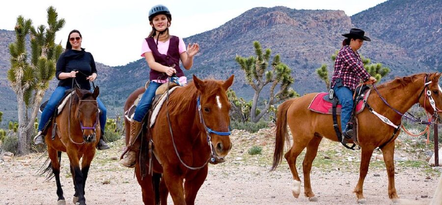 Las Vegas: Grand Canyon Ranch Tour with Horseback/Wagon Ride - Should you book the ranch tour?