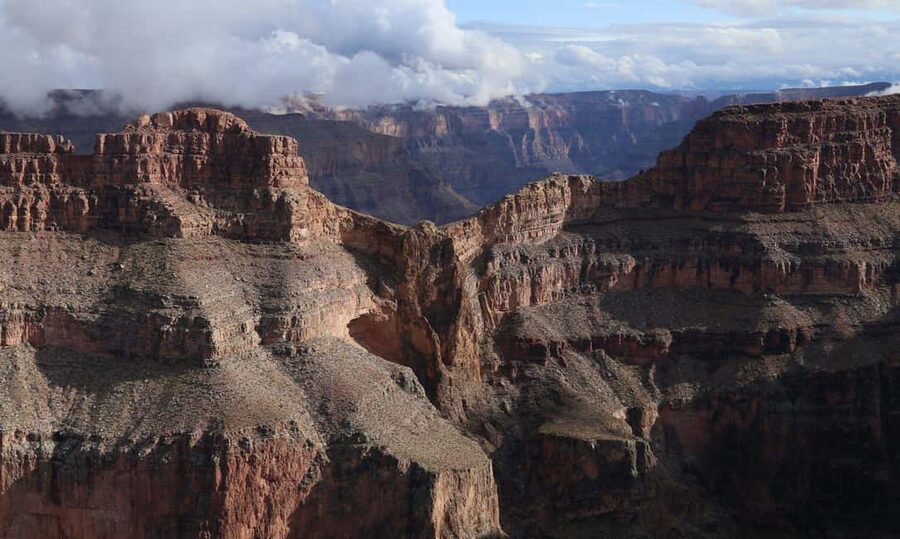 Las Vegas: Grand Canyon West & Hoover Dam Tour + Breakfast - Joshua trees on the way