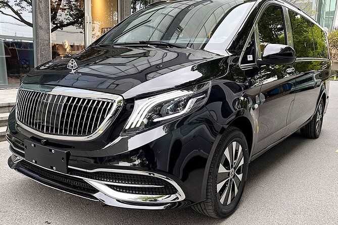 Las Vegas: LAS Airport Private Transfer to/from Strip Hotels - Finding your driver at Harry Reid International Airport