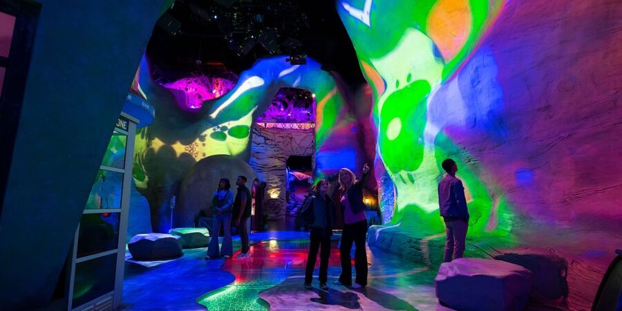 Las Vegas: Meow Wolf Omega Mart Ticket - Is the VIP package a better fit?
