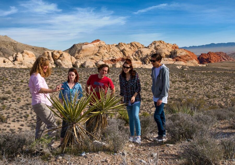 Las Vegas: Red Rock Canyon Tour & Rocky Gap 4x4 Adventure - The scenic loop: a quick lesson in Red Rock
