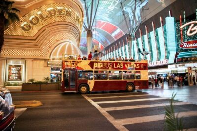 Sightseeing Night Tour by Open-top Bus