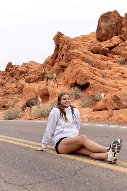 Las Vegas: Valley of Fire and Red Rock Canyon Day Trip - At a glance