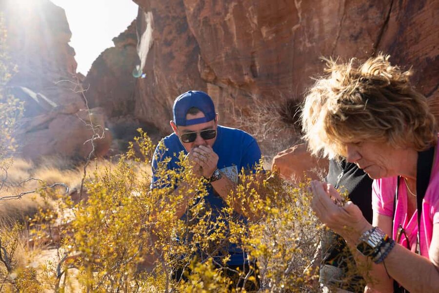 Las Vegas: Valley of Fire and Red Rock Canyon Day Trip - Atlatl Rock: ancient marks in the stone