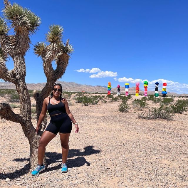 Las Vegas: Valley of Fire and Red Rock Canyon Day Trip - Is $148 good value?