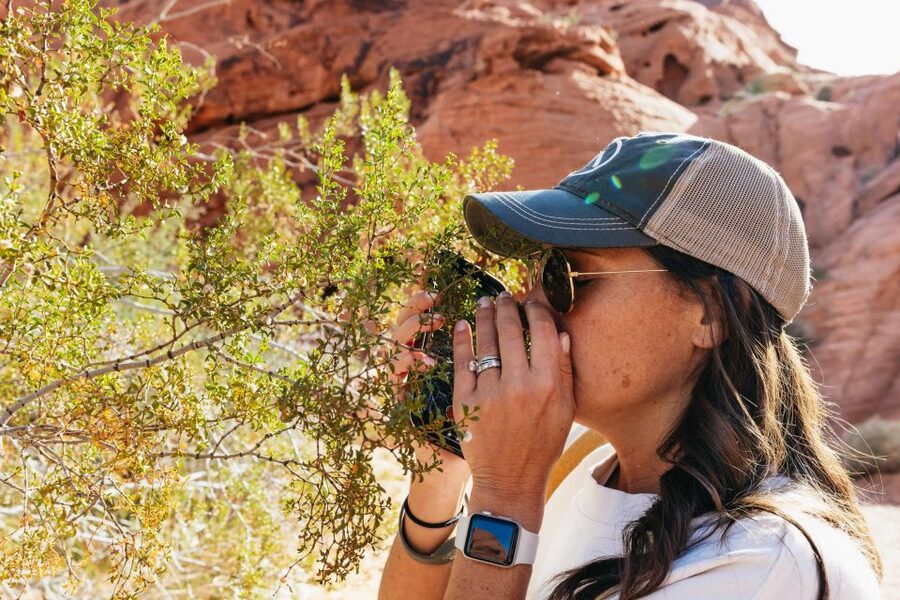 Las Vegas: Valley of Fire Guided Hike with Drinks and Snacks - What the small group changes