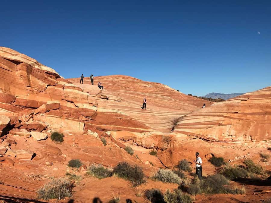 Las Vegas: Valley of Fire Half-Day Guided Hike with Pickup - Starting at the Visitor Center