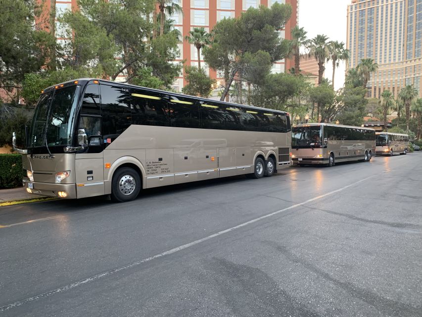 Las Vegas/Williams/Tusayan/Grand Canyon: One-Way Shuttle - A no-drive route to the South Rim