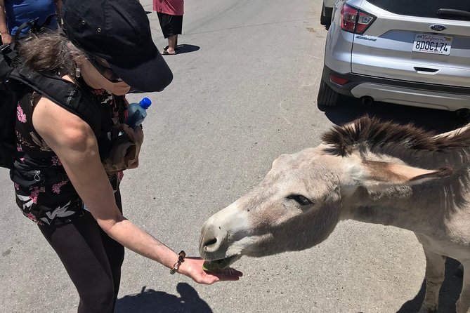 Oatman Mining Camp & Burros: Historic Route 66 Tour from Laughlin - Is $129 a fair price for this Route 66 day?