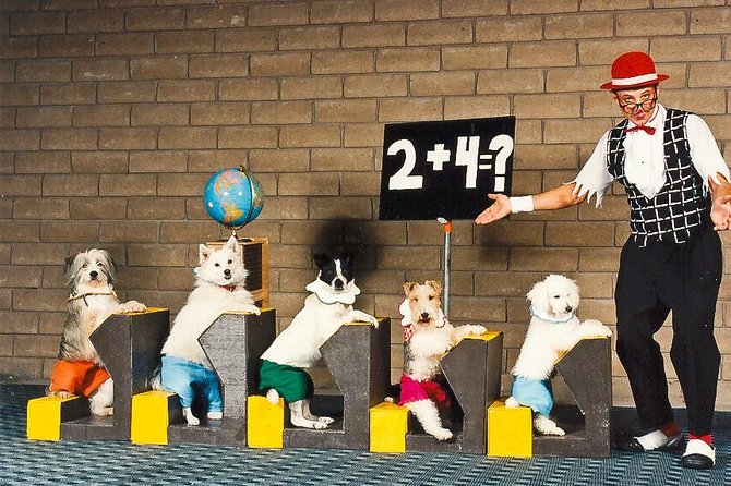 Popovich Comedy Pet Theater at Planet Hollywood Resort and Casino - Is $39 a fair price?
