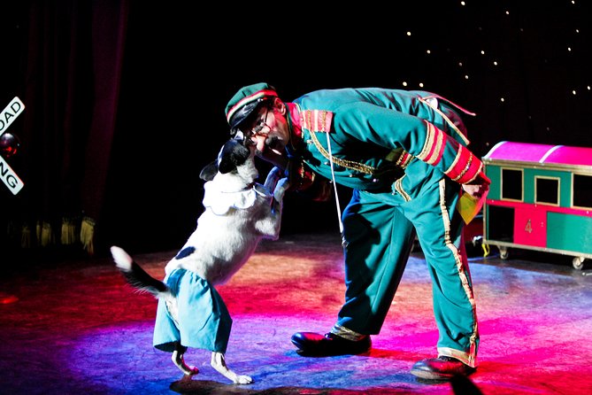 Popovich Comedy Pet Theater at Planet Hollywood Resort and Casino - Who will enjoy it most?