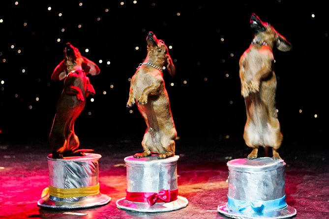 Popovich Comedy Pet Theater at Planet Hollywood Resort and Casino - FAQ