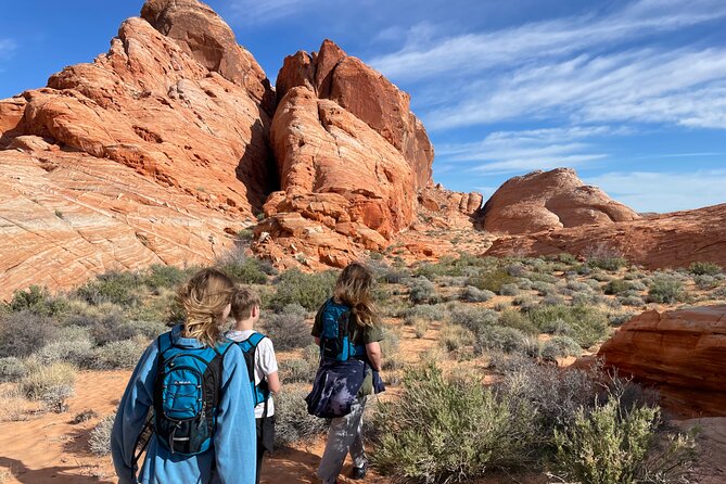 Private Valley of Fire Hiking and Sightseeing Adventure - Reading the rocks, plants, and tracks