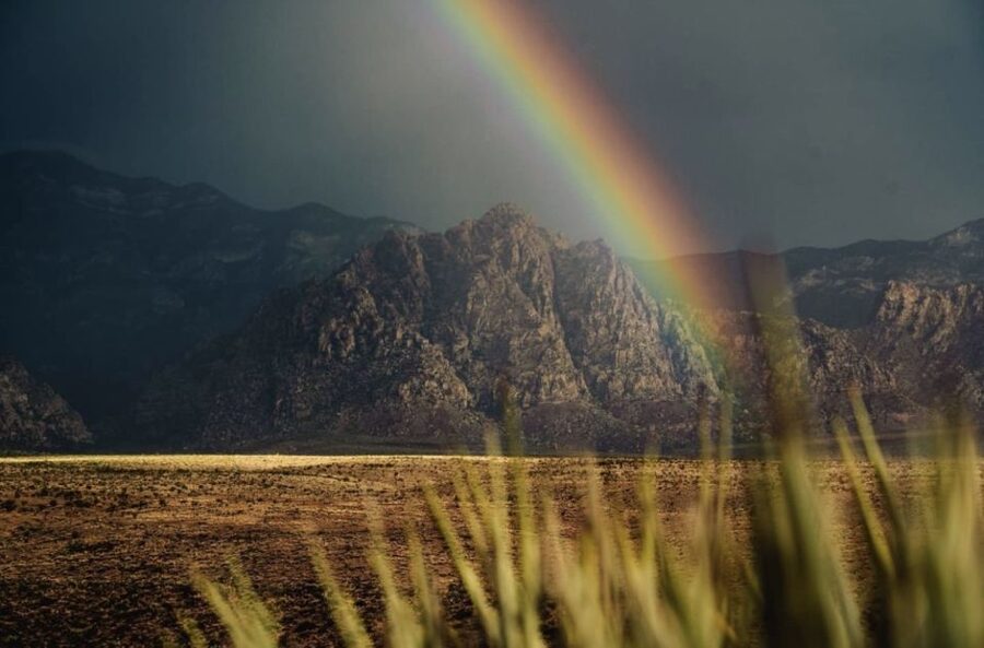 Red Rock Canyon Sign& Seven Magic Mountains Tour - Leaving Las Vegas for the Mojave